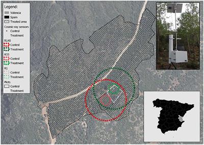 Comparison of Soil Water Estimates From Cosmic-Ray Neutron and Capacity Sensors in a Semi-arid Pine Forest: Which Is Able to Better Assess the Role of Environmental Conditions and Thinning?